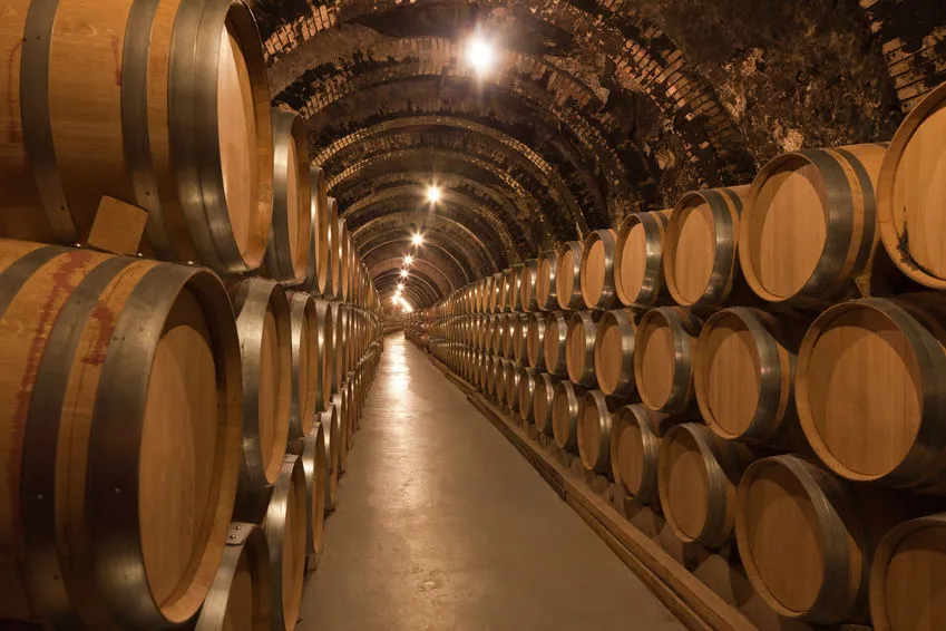  vinho cabernet sauvignon, o melhor vinho tinto do mundo. Envelhecido em barris de carvalho.